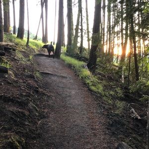 Meet your Posher, Pat